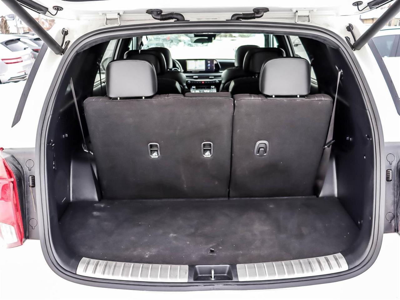 2025 Hyundai PALISADE Ultimate Calligraphy Night Photo