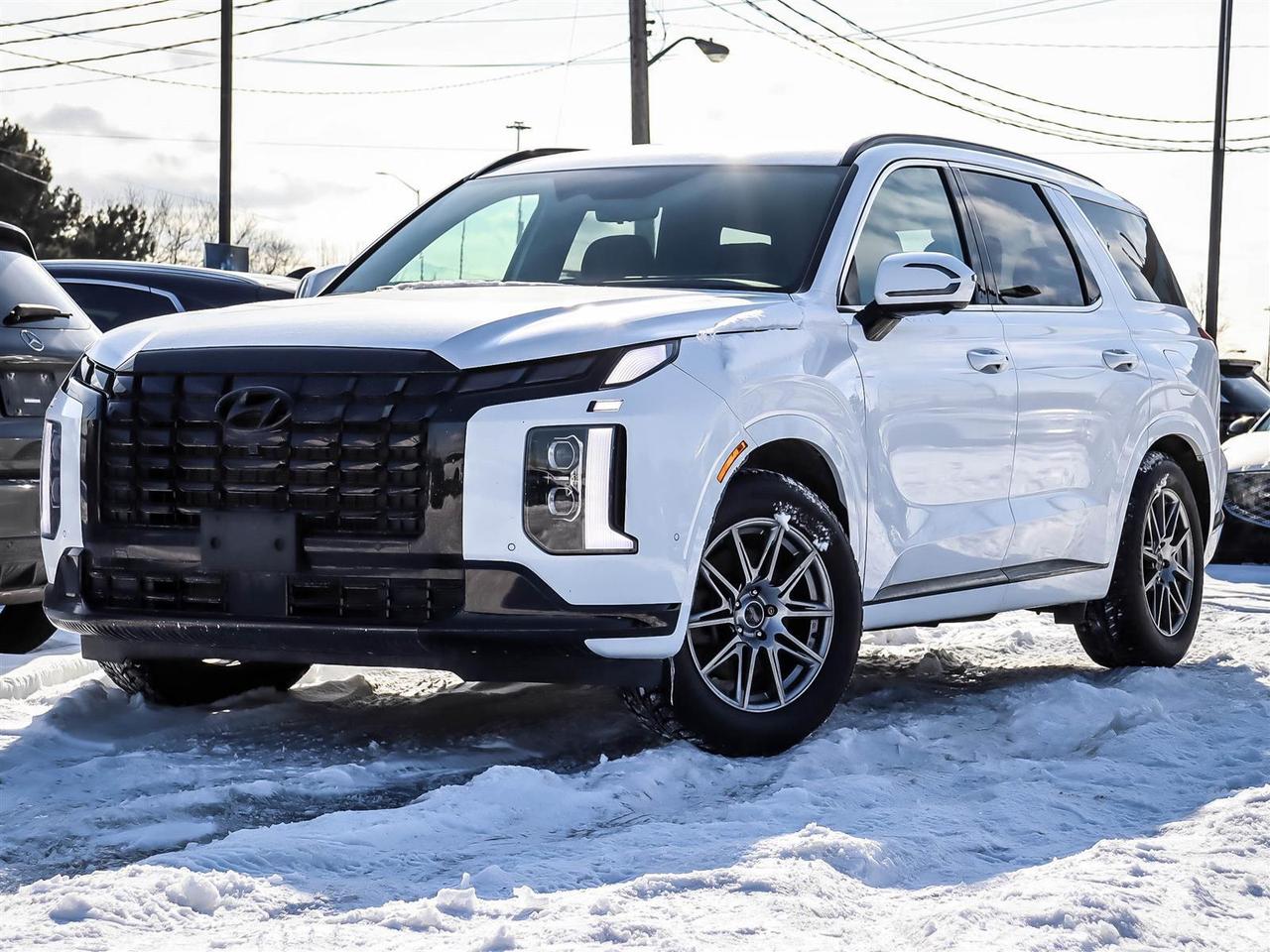 2025 Hyundai PALISADE Ultimate Calligraphy Night Photo0