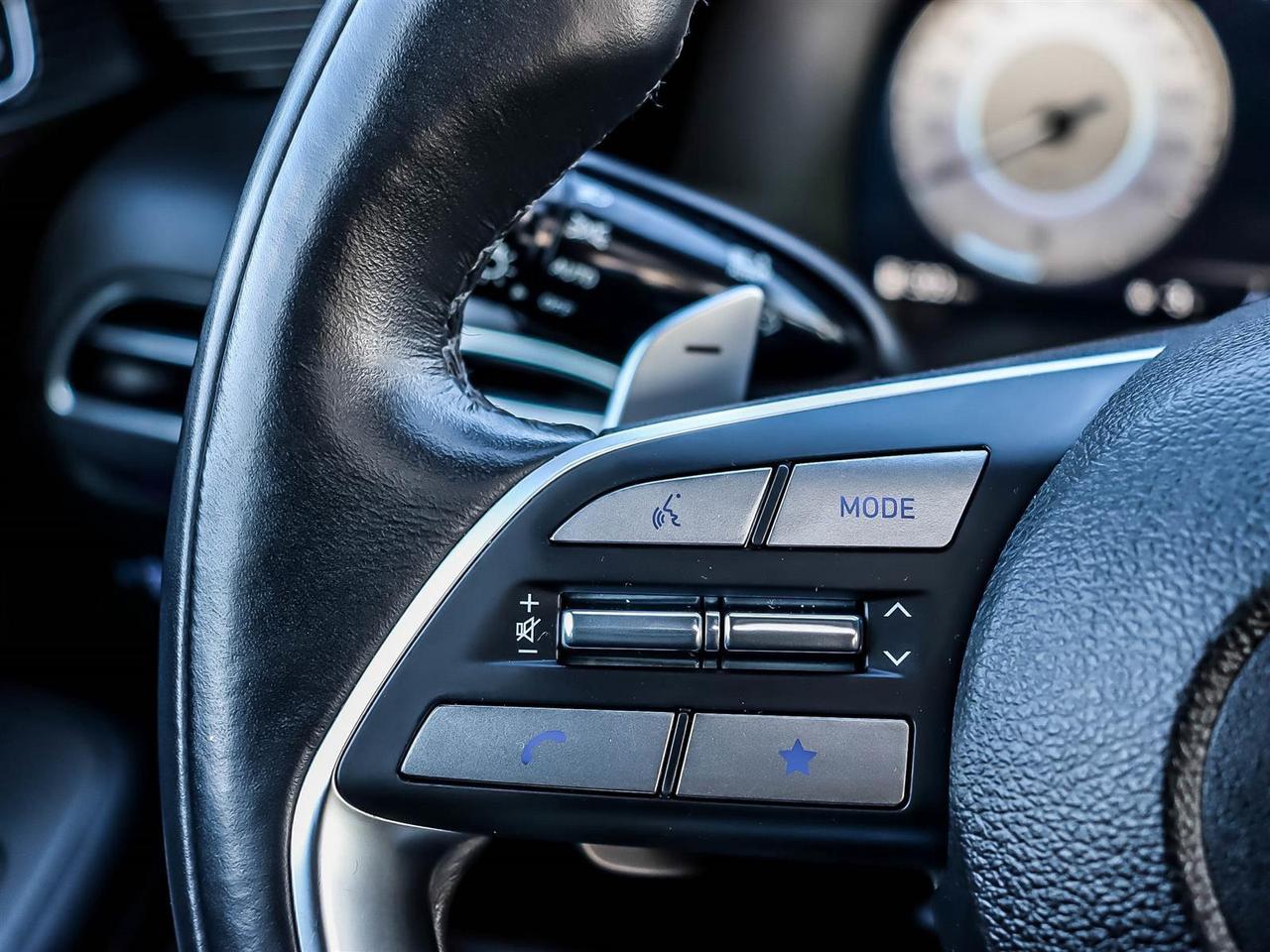 2025 Hyundai PALISADE Ultimate Calligraphy Night Photo