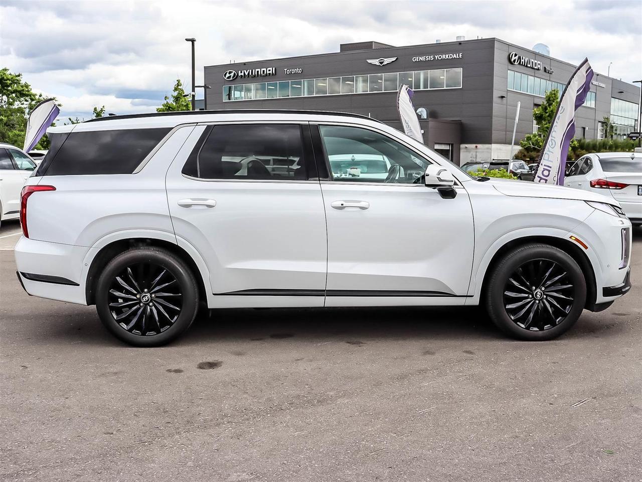 2025 Hyundai PALISADE Ultimate Calligraphy Night Photo