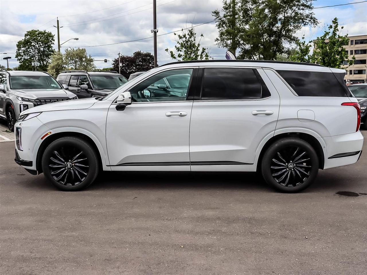 2025 Hyundai PALISADE Ultimate Calligraphy Night Photo4