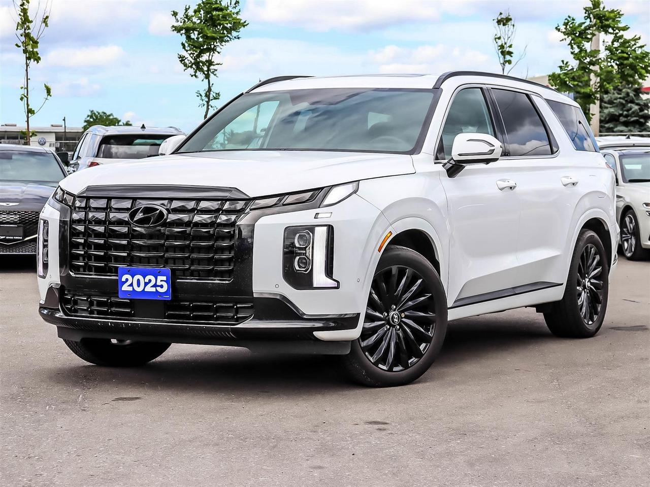 2025 Hyundai PALISADE Ultimate Calligraphy Night Photo0