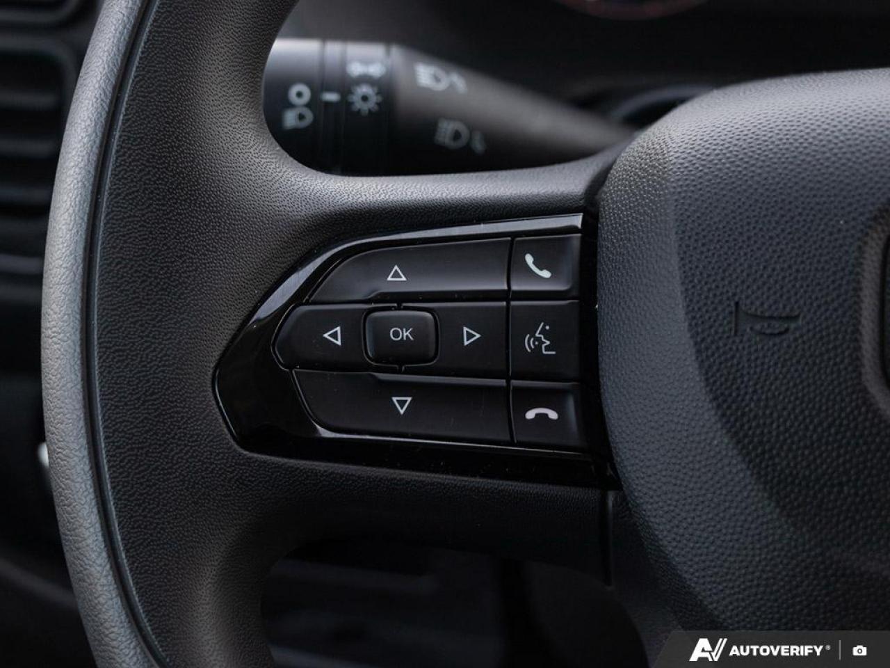 2025 RAM ProMaster 2500 Cargo Partition W/ Window  Pass. Seat Photo