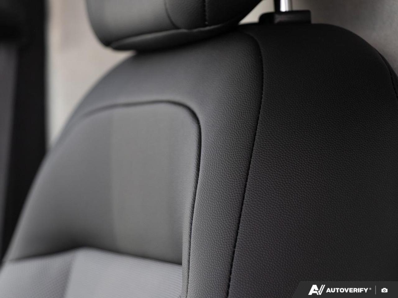 2025 RAM ProMaster 2500 Cargo Partition W/ Window  Pass. Seat Photo