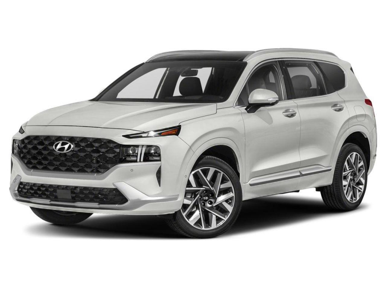 2021 Hyundai Santa Fe Ultimate Calligraphy 4dr All-Wheel Drive Photo