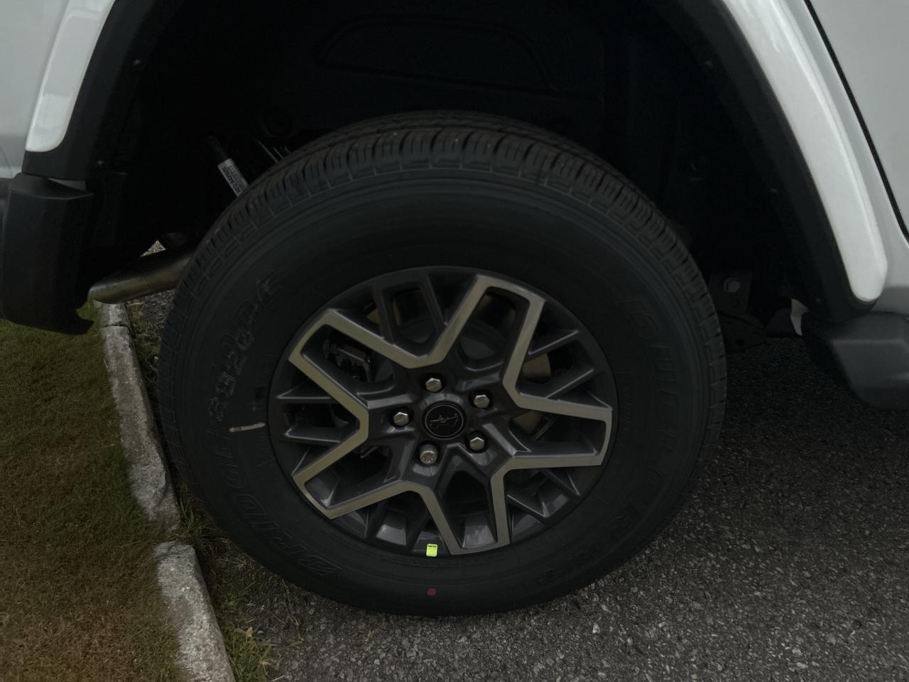 2025 Jeep Wrangler 4-Door Sahara Photo