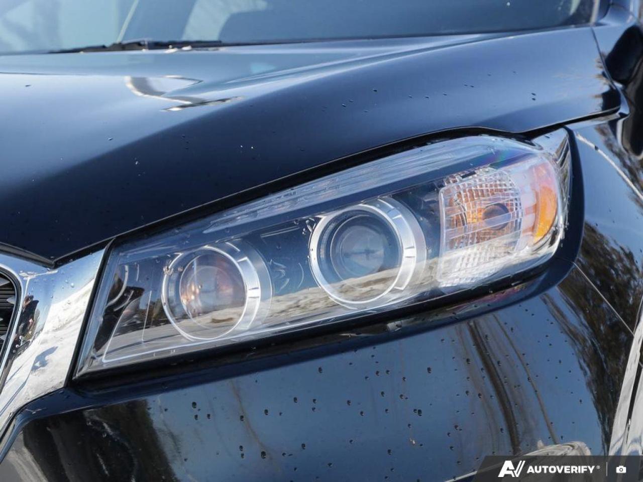 2016 Kia Sorento 2.0L Turbo SX Photo