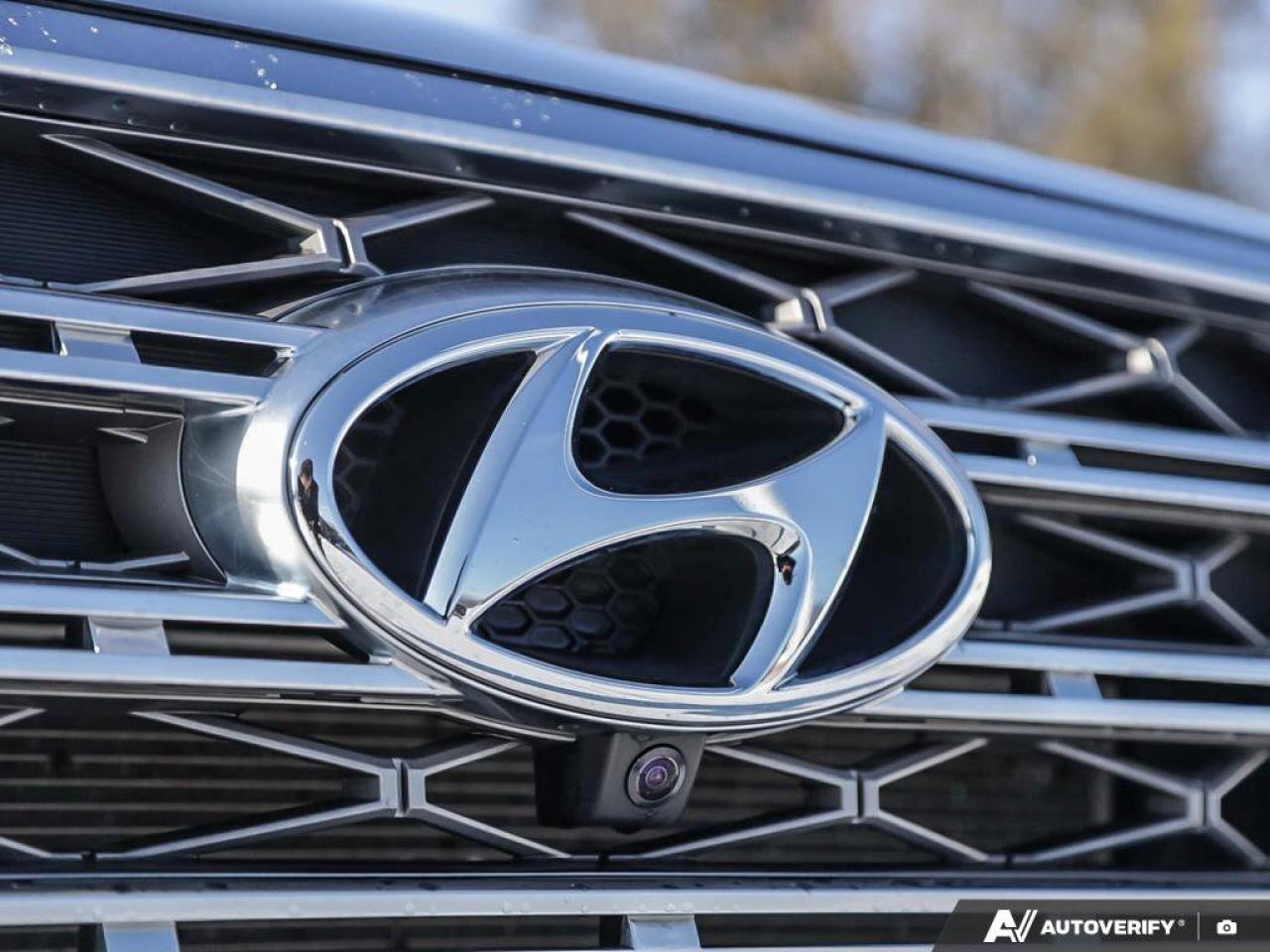 2020 Hyundai PALISADE ULTIMATE Photo