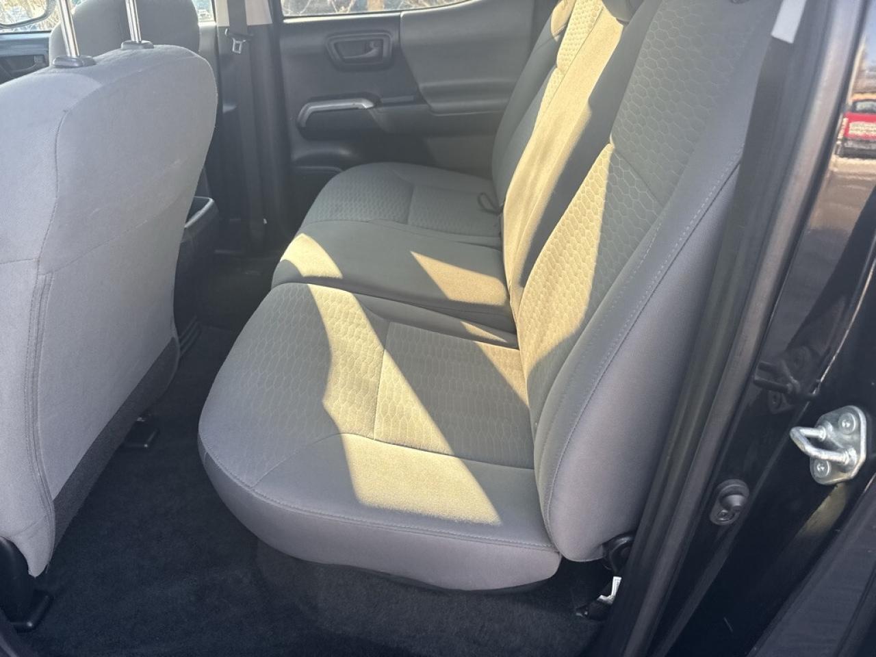 2019 Toyota Tacoma SR5 Photo