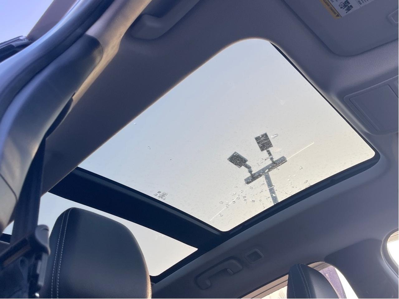 2023 Ford Escape HYBRID LEATHER PANO HEADSUP DISPLAY ACTIVE PARK Photo