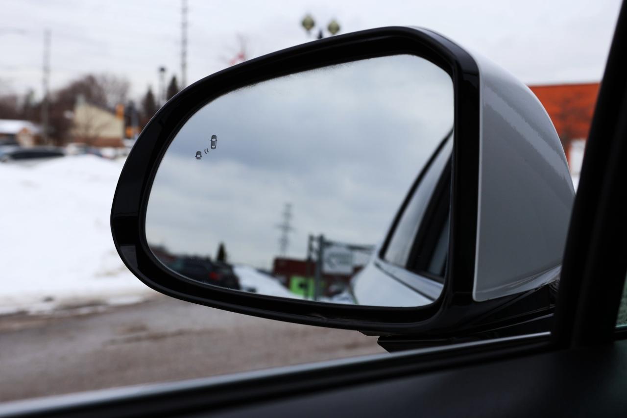 2019 Hyundai Santa Fe 2.0T LUXURY-HTRAC-AWD/ADAP CRUISE/LEATHER/PANOROOF Photo