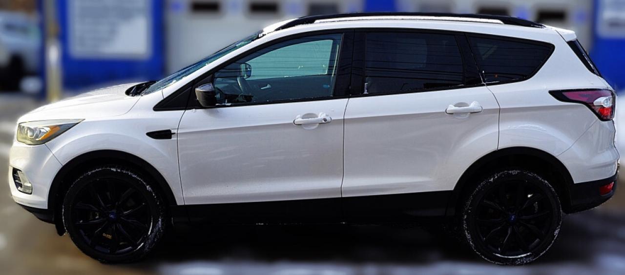 2017 Ford Escape SE 4dr 4x4 Automatic Photo