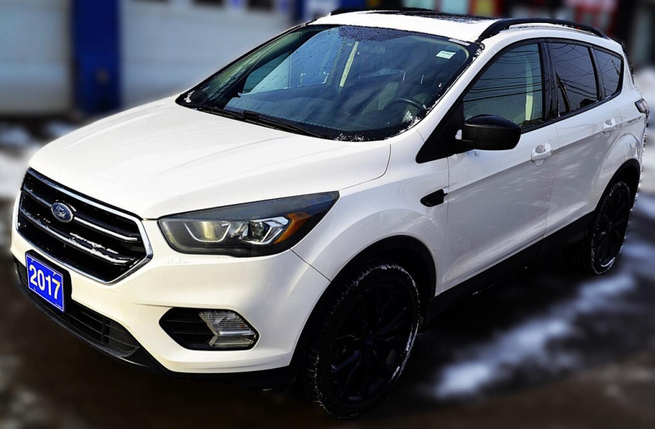 2017 Ford Escape SE 4dr 4x4 Automatic Photo
