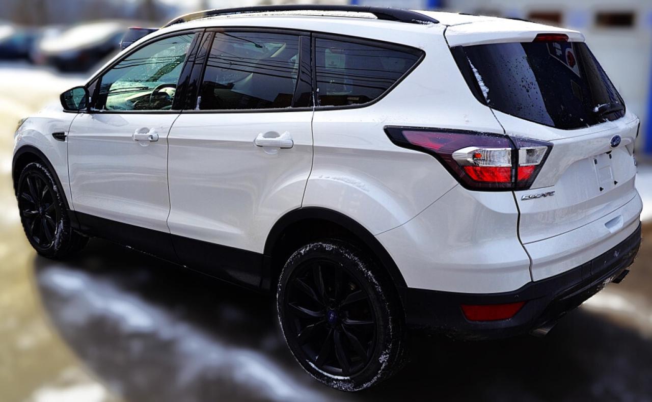 2017 Ford Escape SE 4dr 4x4 Automatic Photo