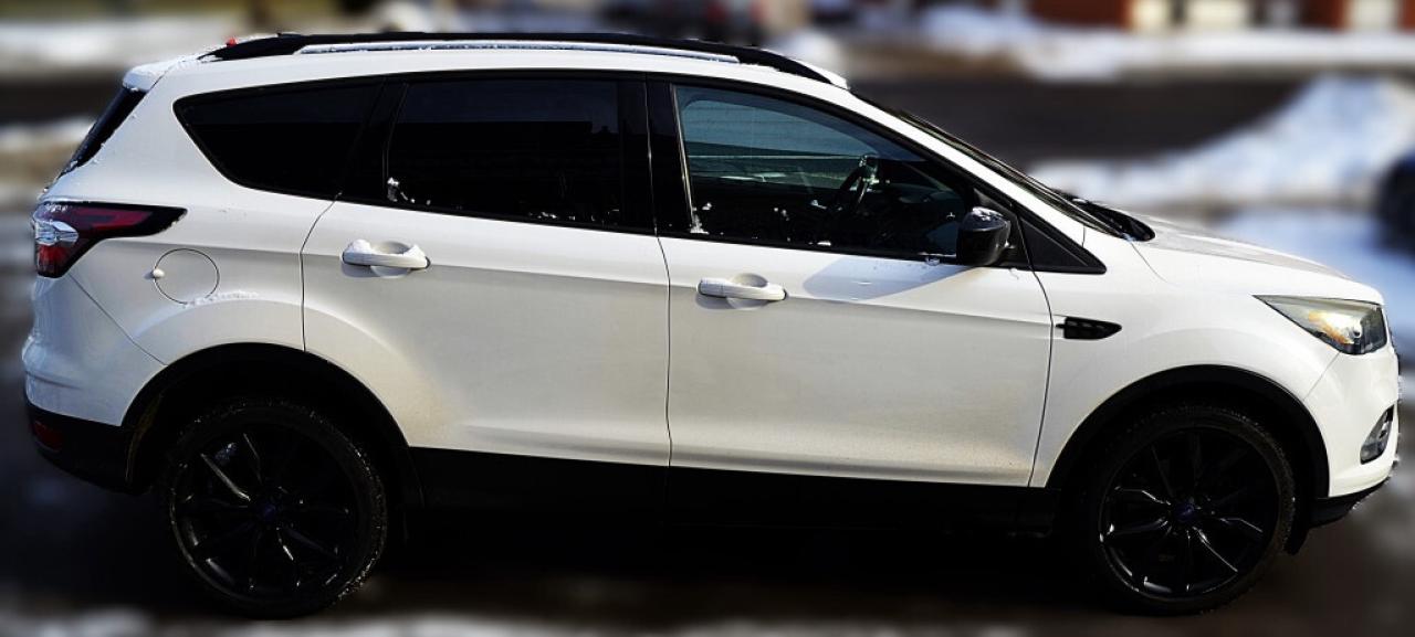 2017 Ford Escape SE 4dr 4x4 Automatic Photo