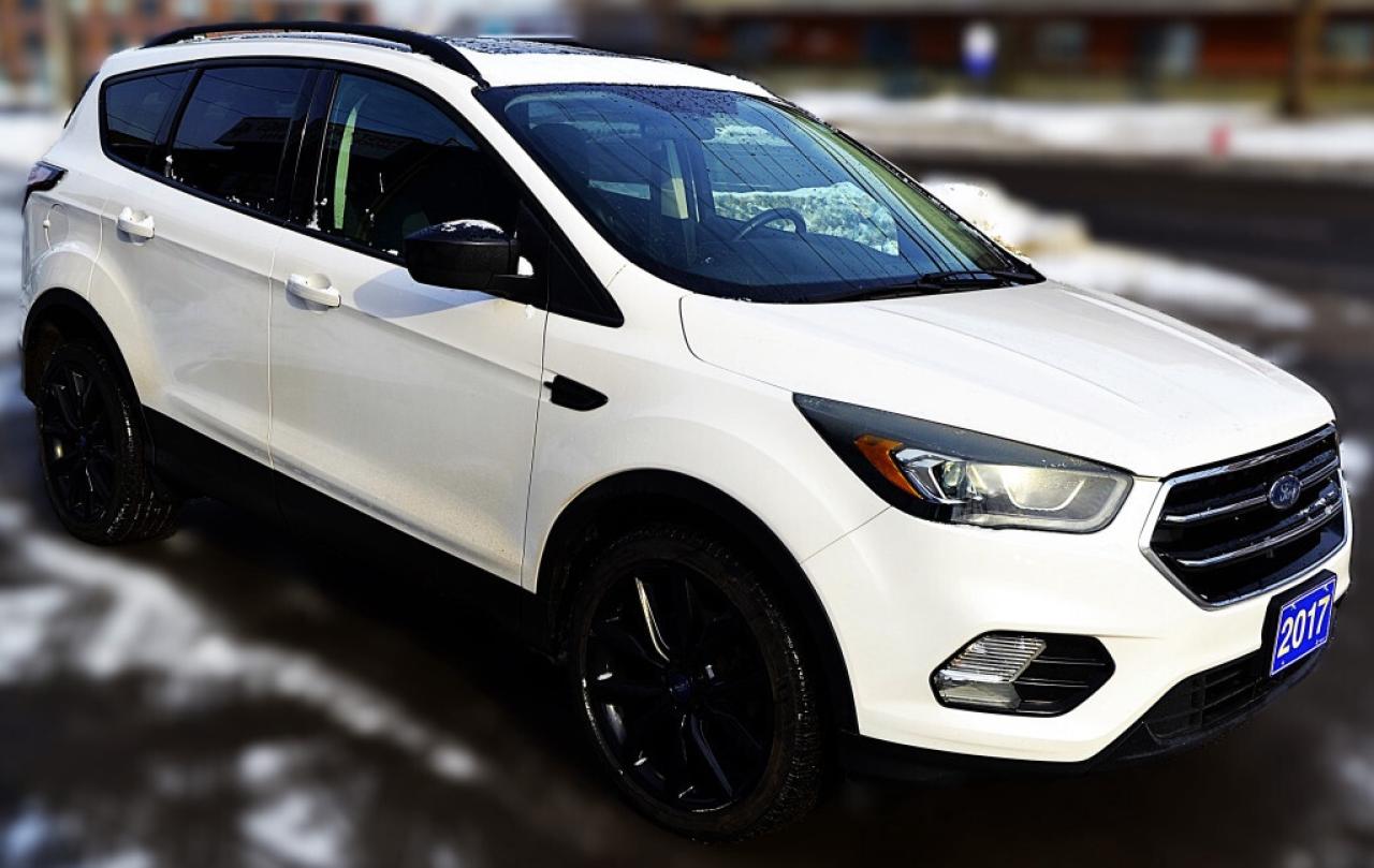 2017 Ford Escape SE 4dr 4x4 Automatic Photo