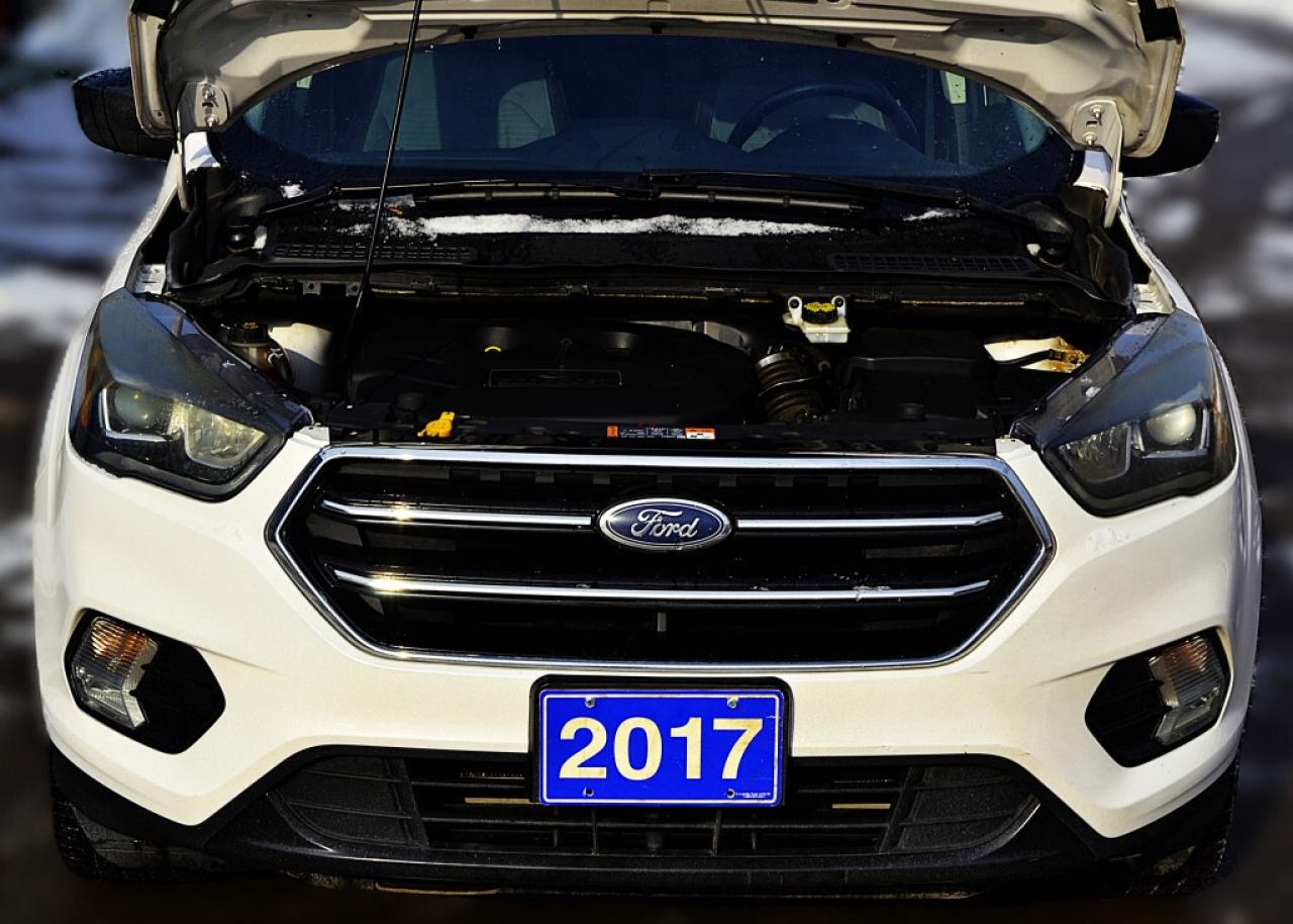 2017 Ford Escape SE 4dr 4x4 Automatic Photo