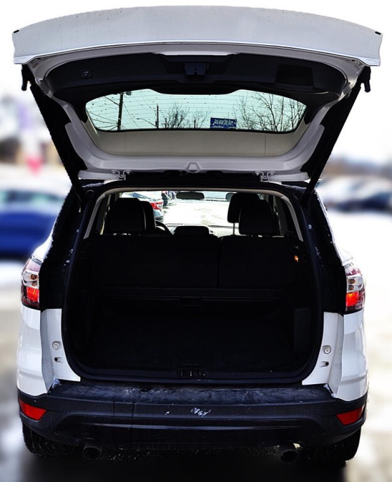 2017 Ford Escape SE 4dr 4x4 Automatic Photo