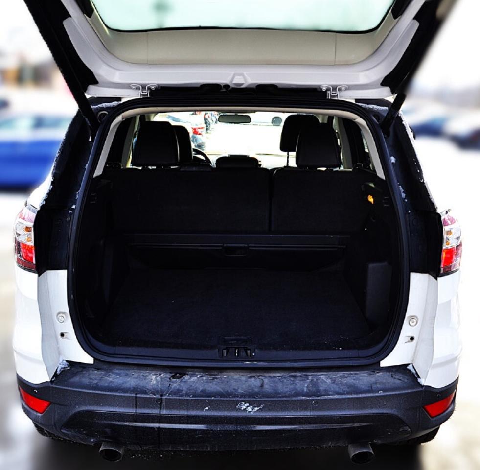 2017 Ford Escape SE 4dr 4x4 Automatic Photo