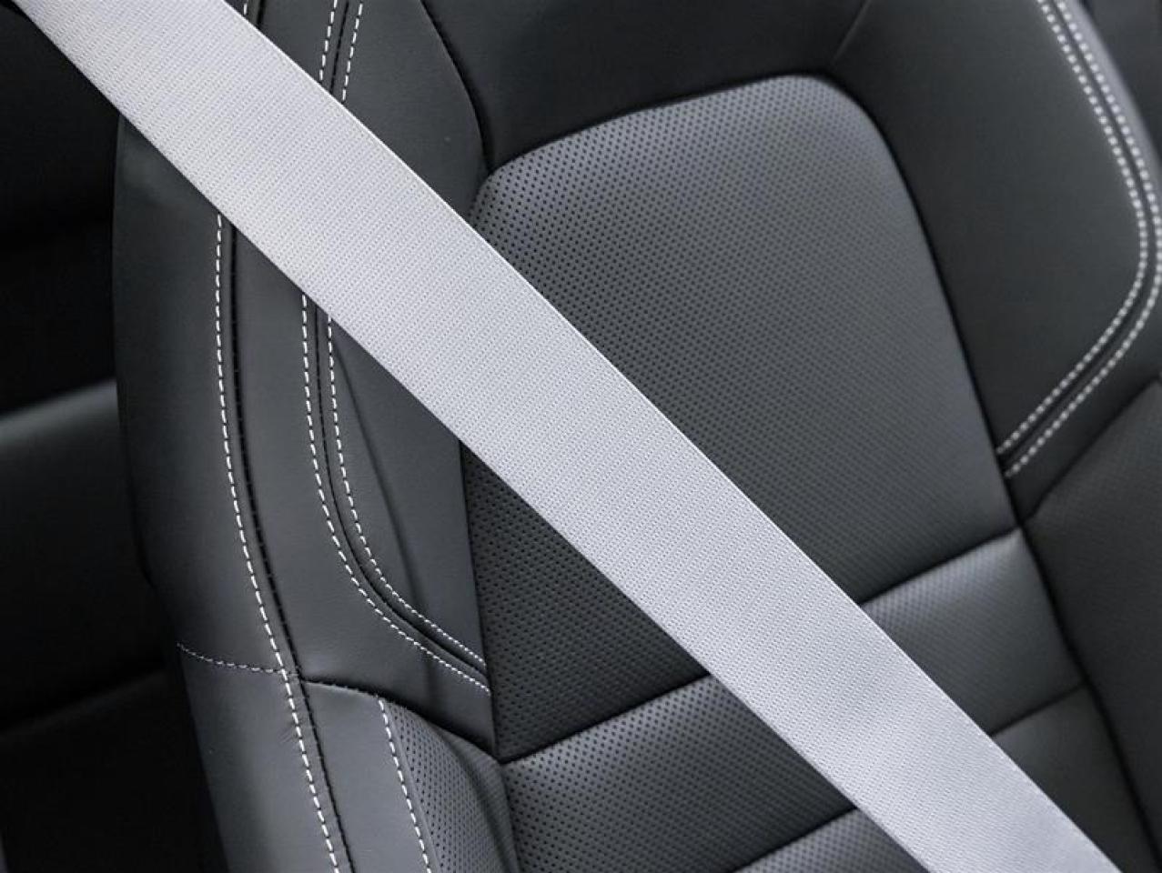 2026 Porsche 911  Photo