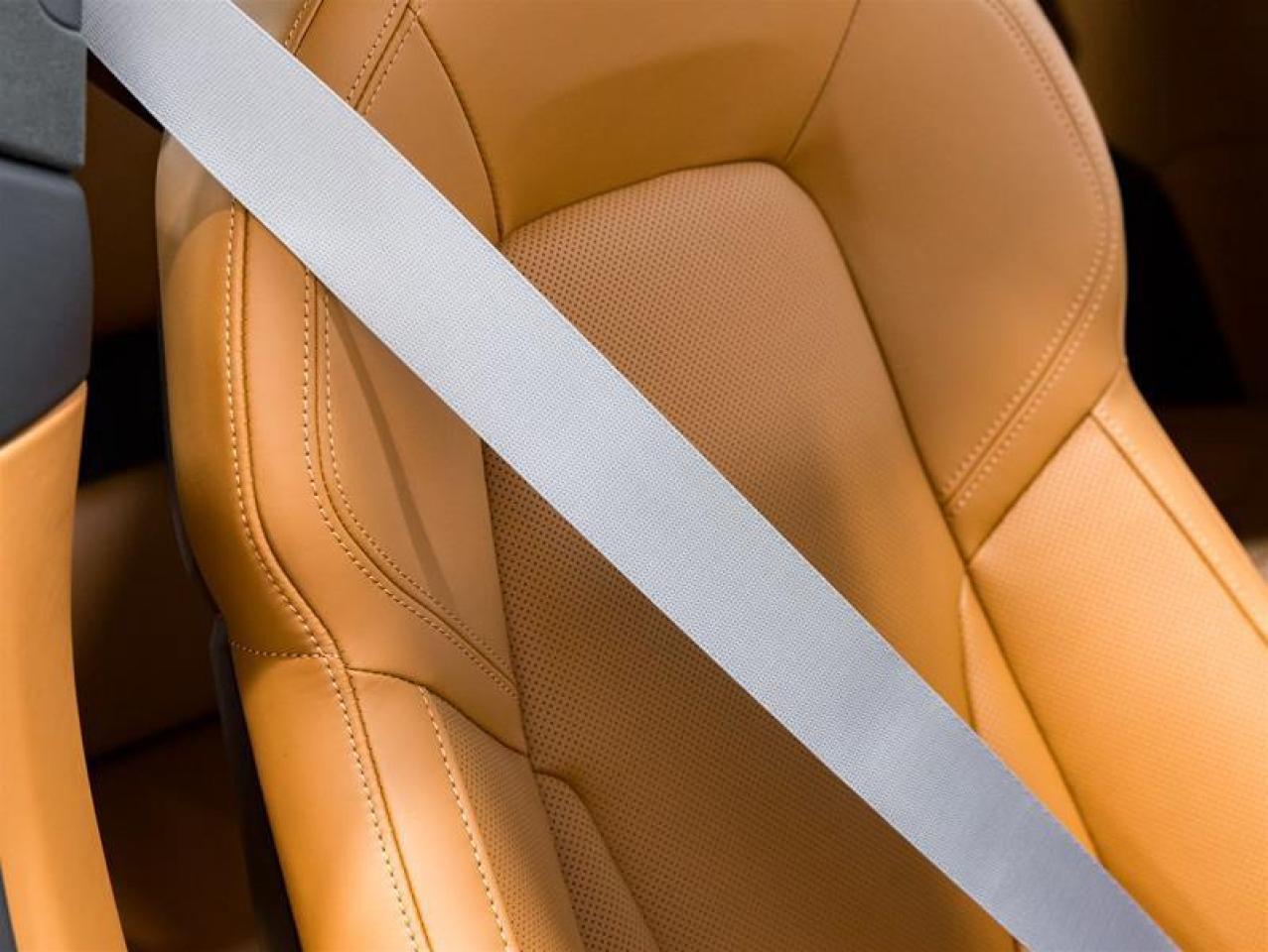 2026 Porsche 911  Photo