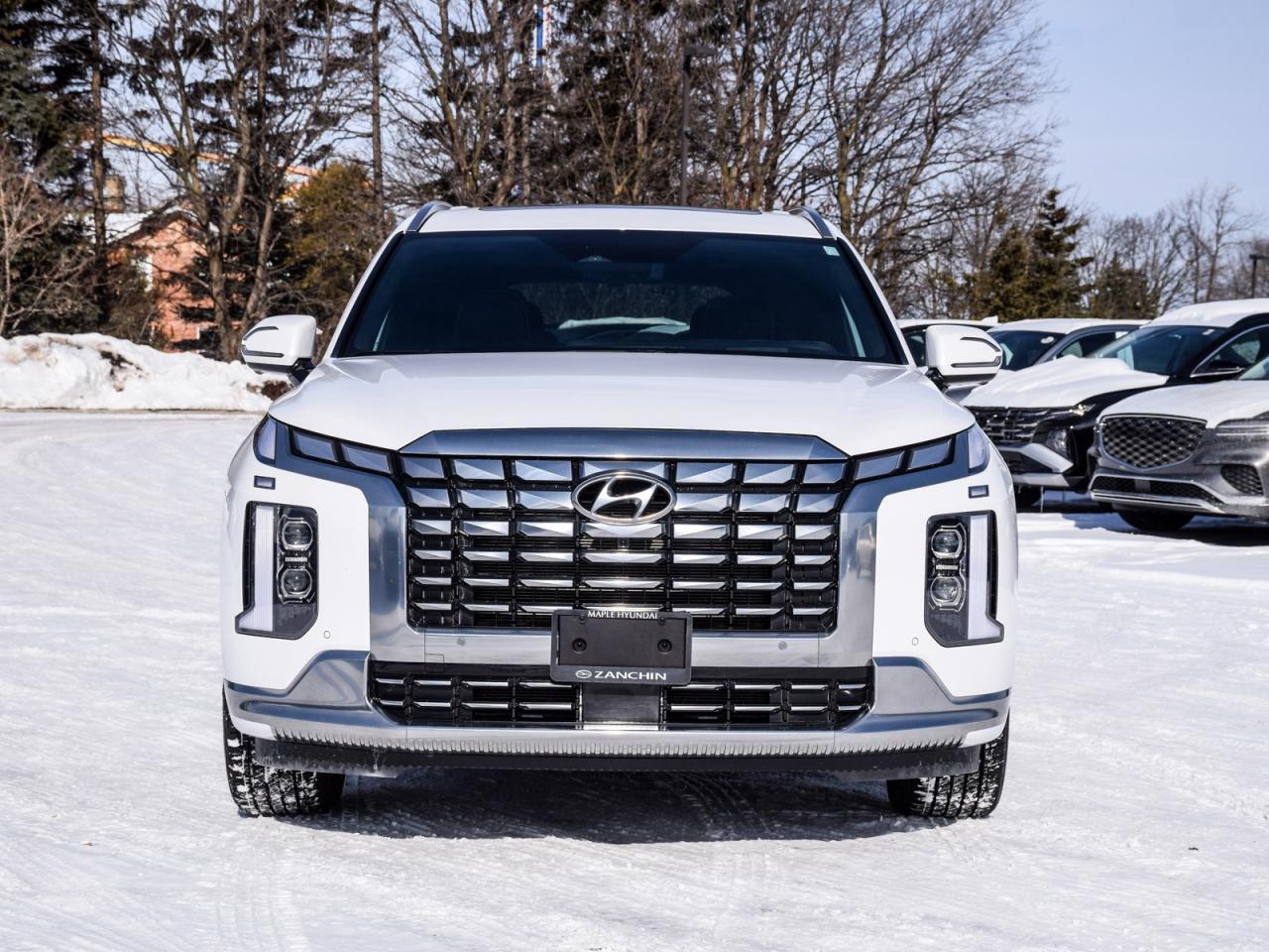 2025 Hyundai PALISADE FULLY LOADED   1owner, No Accidents, LOW KMS Photo
