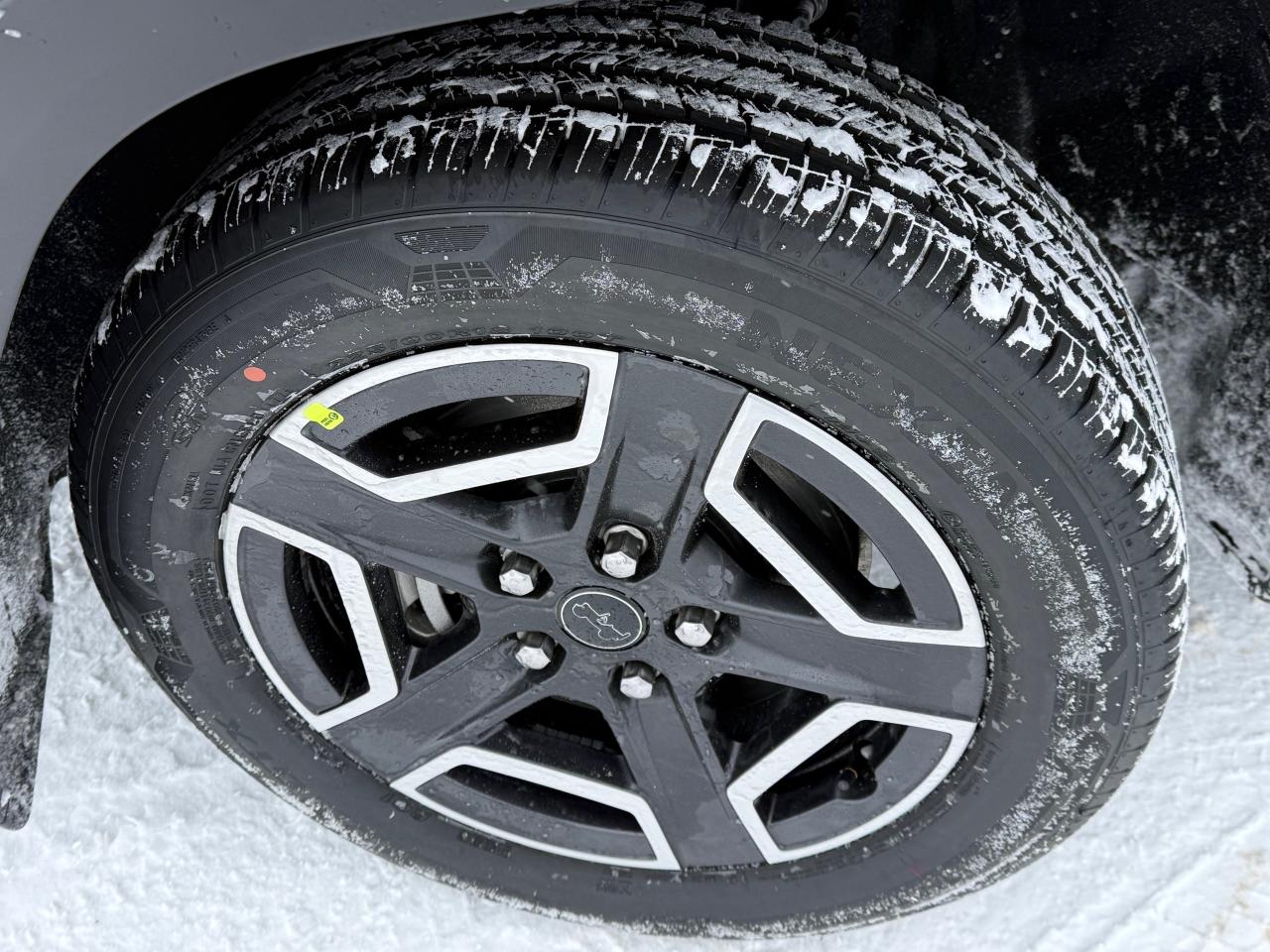 2026 Jeep Cherokee Laredo/Limited 4dr 4x4 Photo