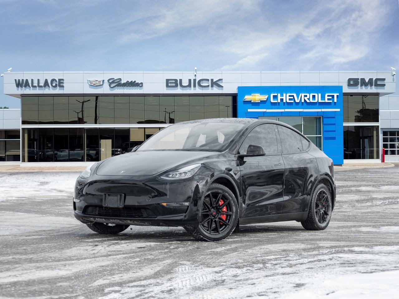 2022 Tesla Model Y Long Range AWD   Dual Motor   Full vehicle PPF Photo