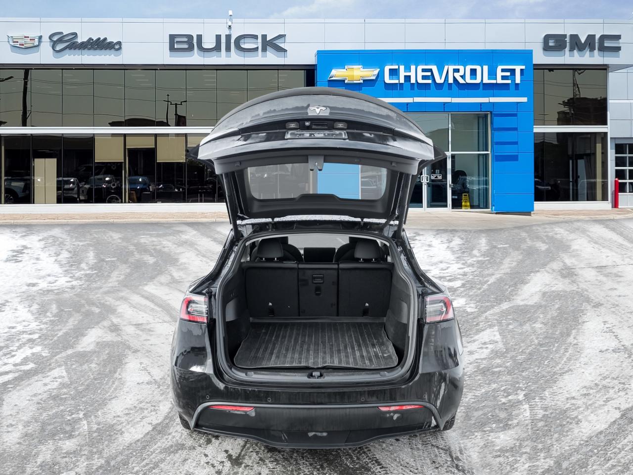 2022 Tesla Model Y Long Range AWD   Dual Motor   Full vehicle PPF Photo