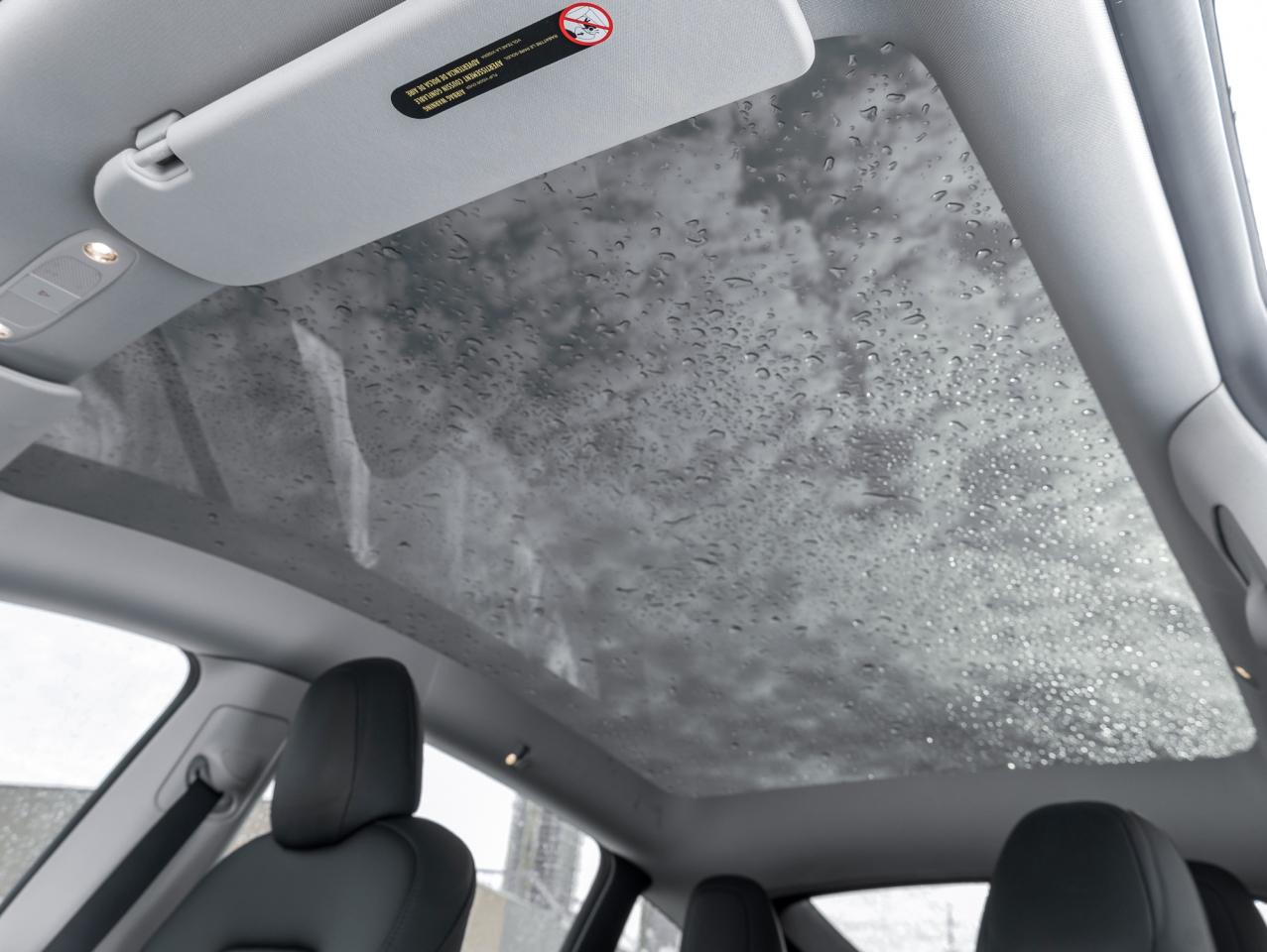 2022 Tesla Model Y Long Range AWD   Dual Motor   Full vehicle PPF Photo