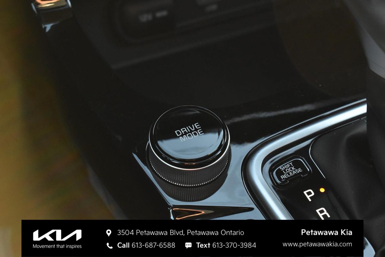 2026 Kia Seltos X-Line 4dr All-Wheel Drive Photo