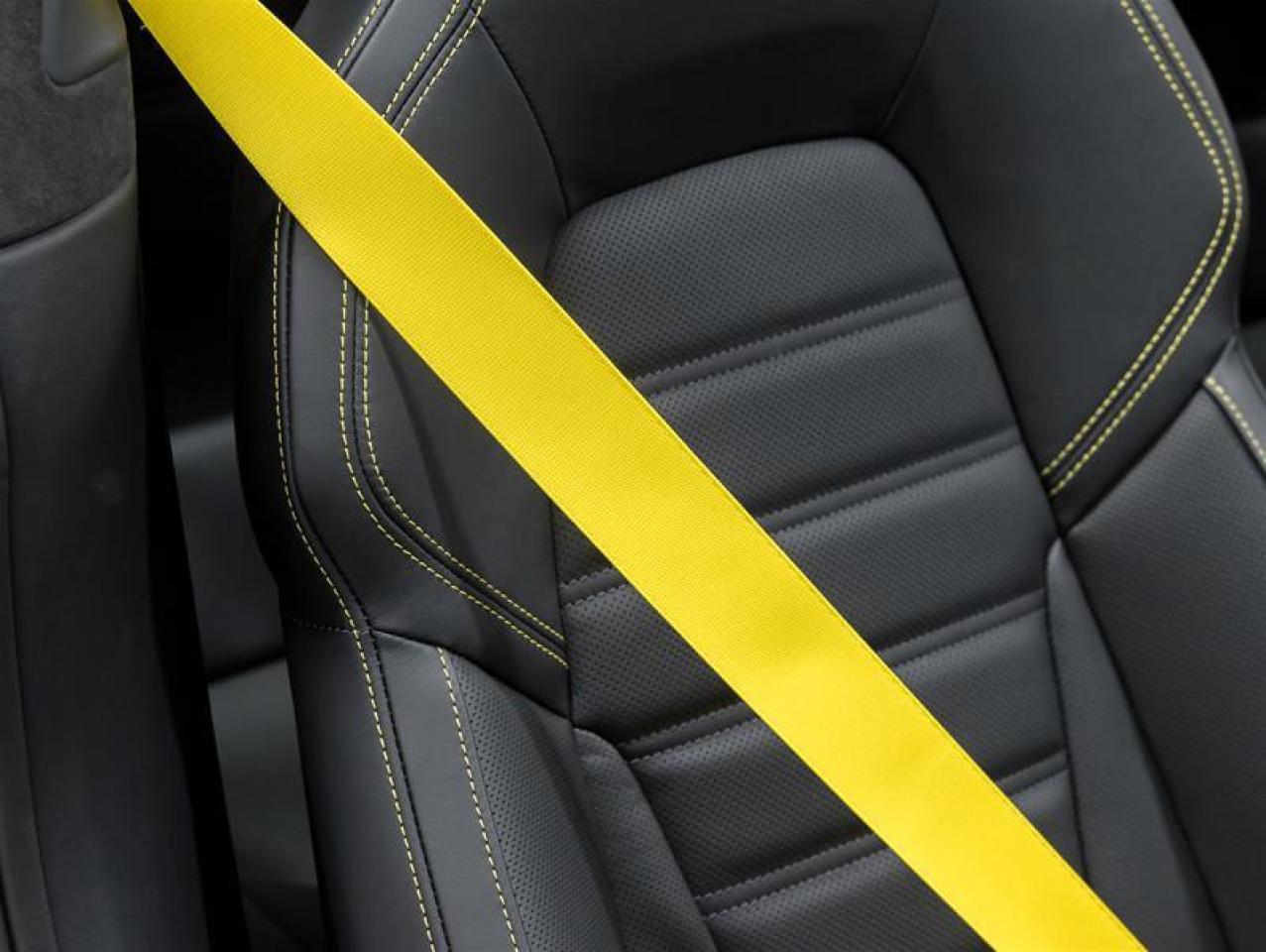 2026 Porsche 911  Photo