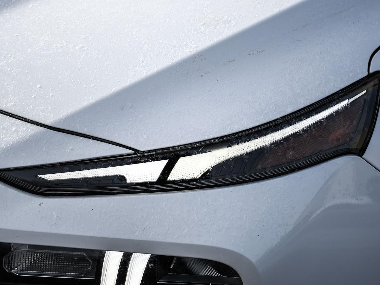 2023 Hyundai Santa Fe Hybrid Luxury Panoramic Sunroof   Power Liftgate Photo