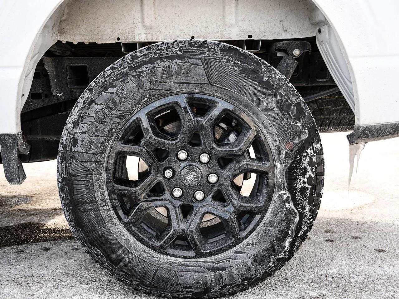 2024 Ford F-150 XLT Black Appearance   Tailgate Step Photo