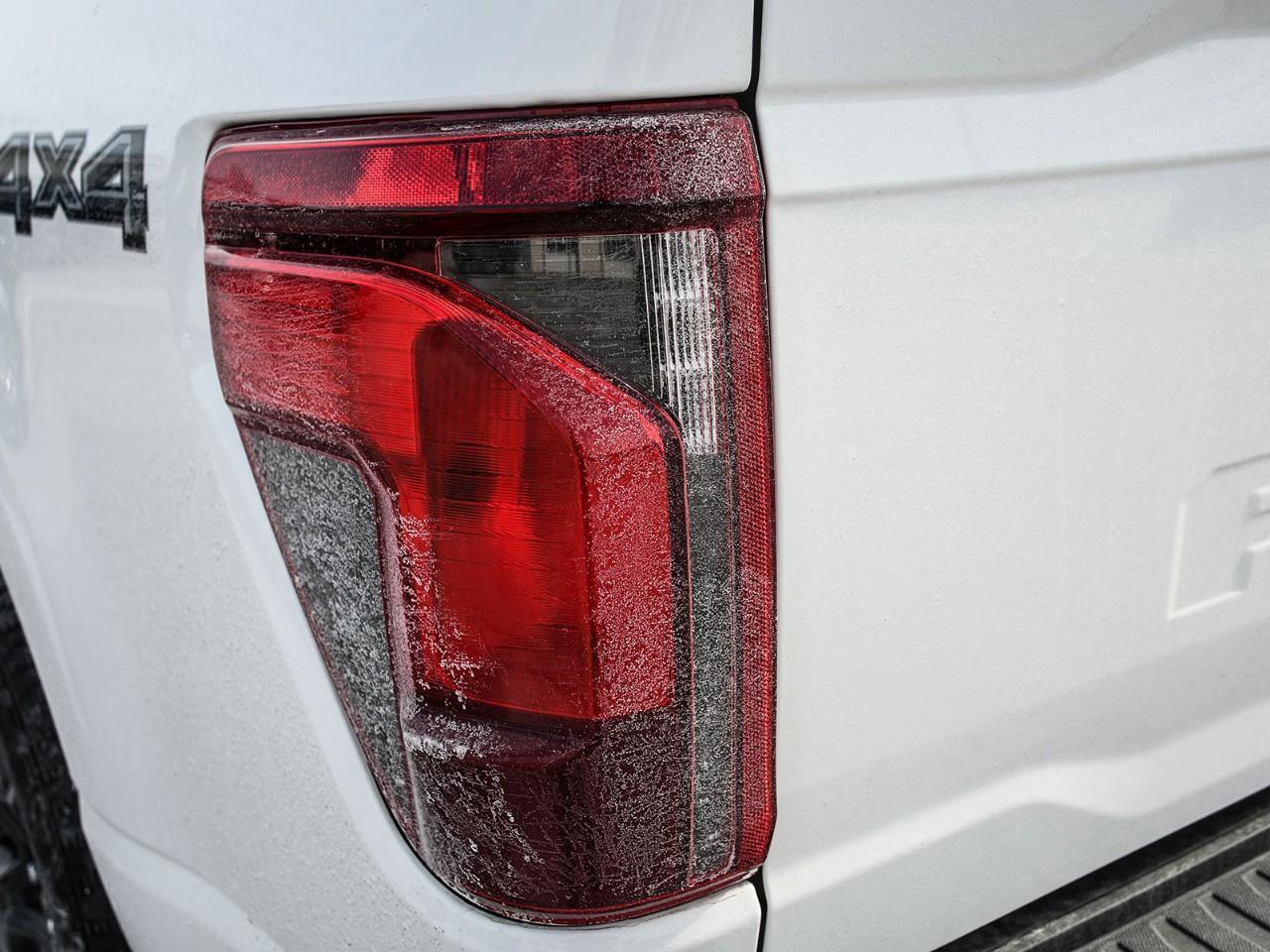 2024 Ford F-150 XLT Black Appearance   Tailgate Step Photo