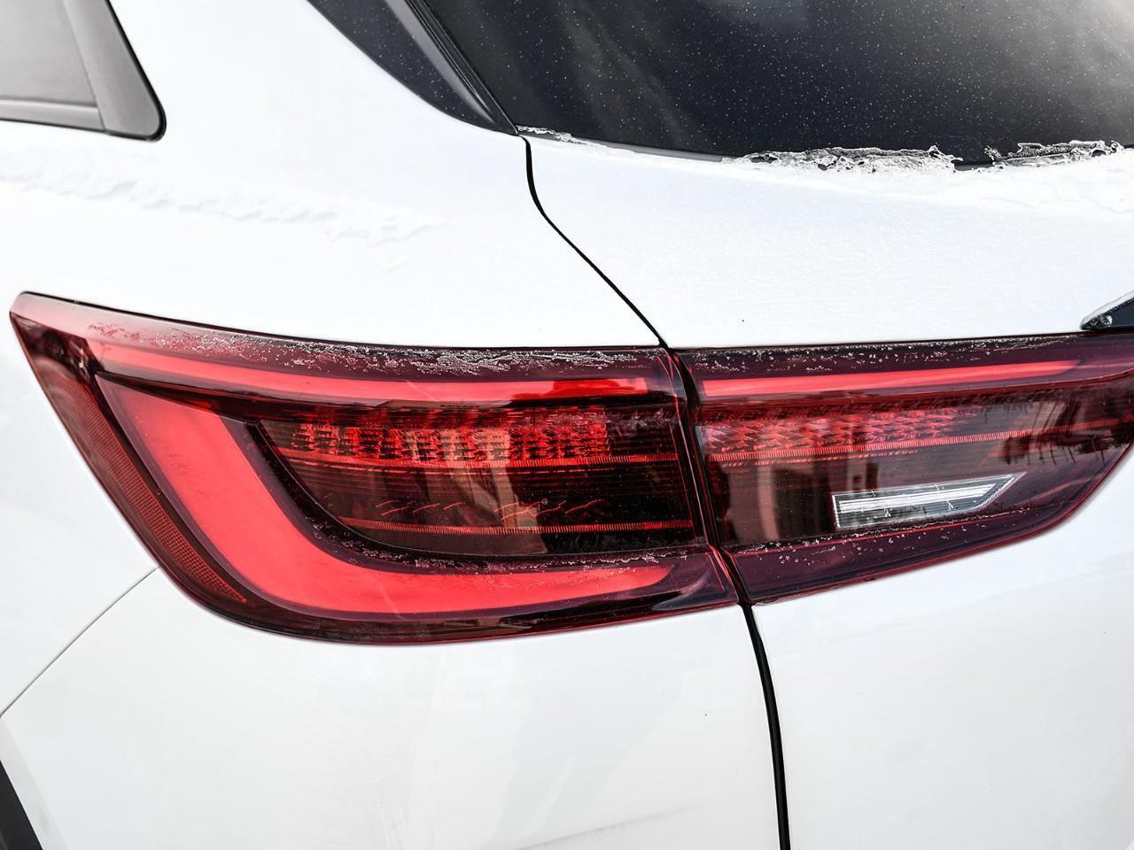 2024 Infiniti QX50 Sport Panoroof   Heated Leather Seats Photo