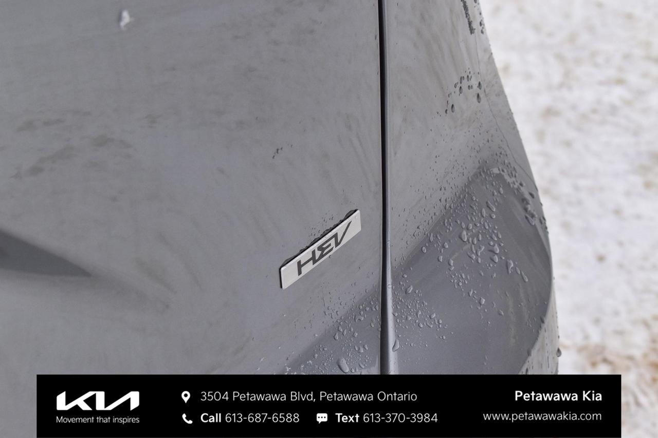 2026 Kia NIRO EX 4dr Front-Wheel Drive Sport Utility Photo