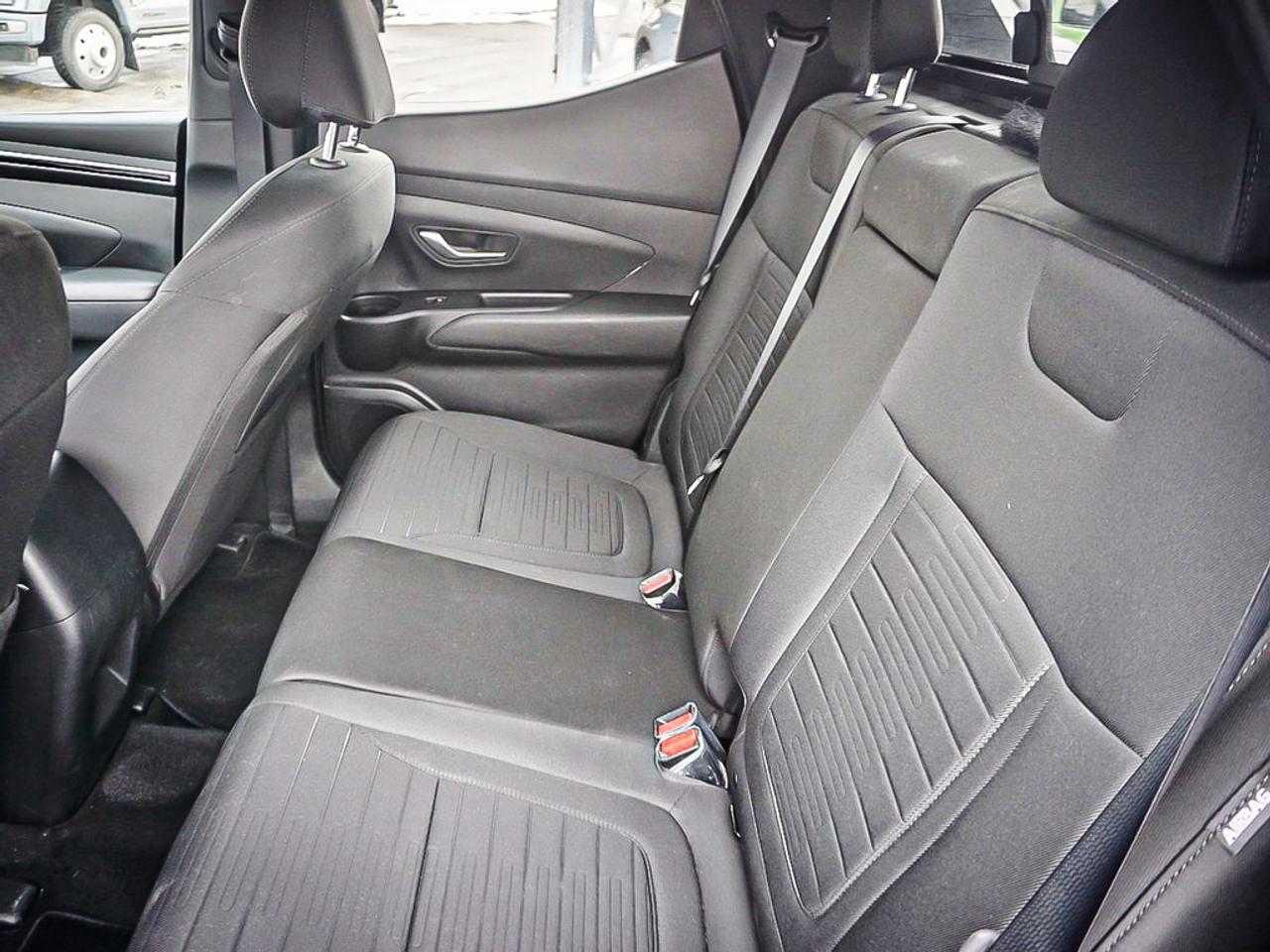 2024 Hyundai Santa Cruz  Photo