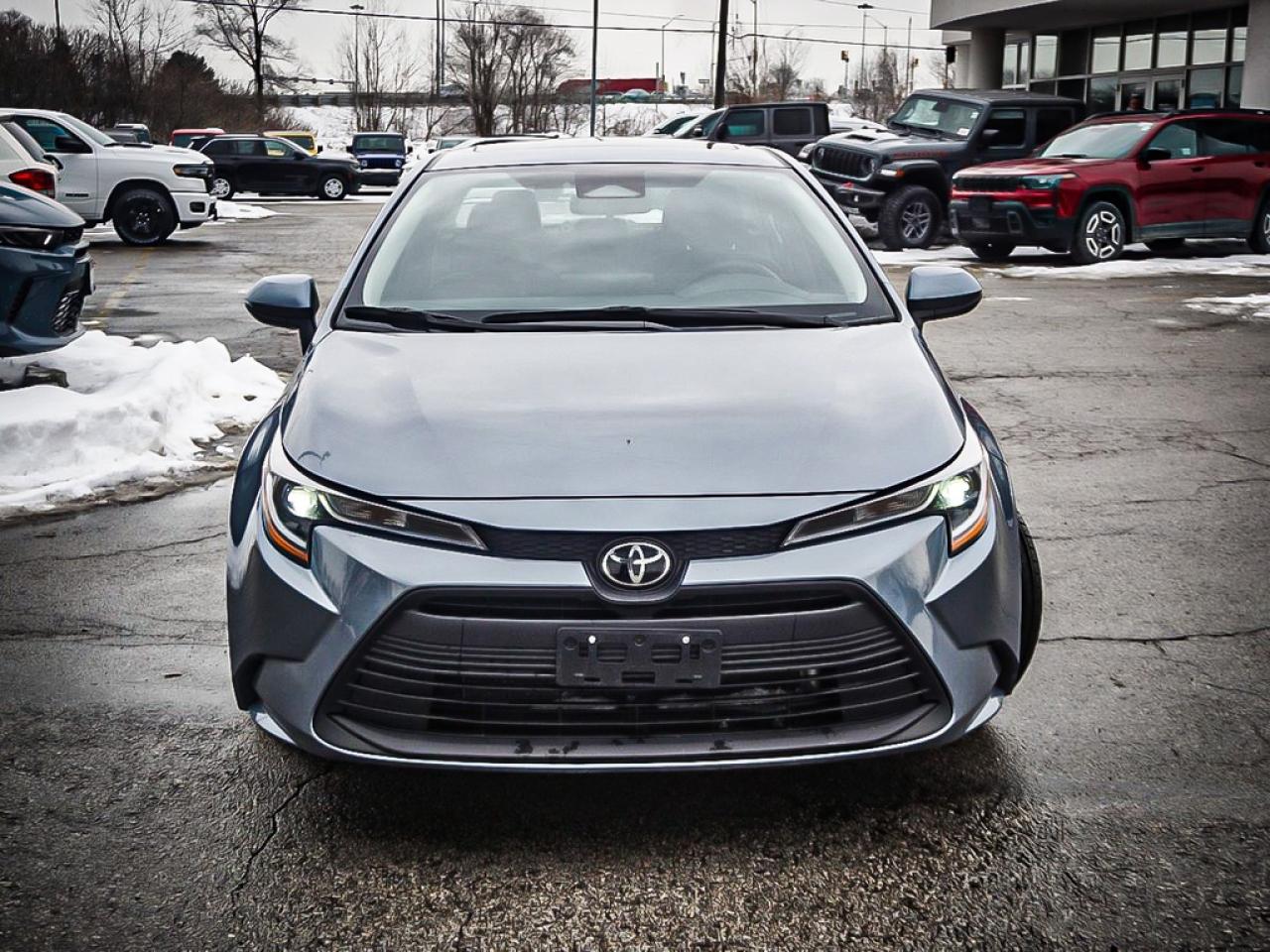2024 Toyota Corolla  Photo