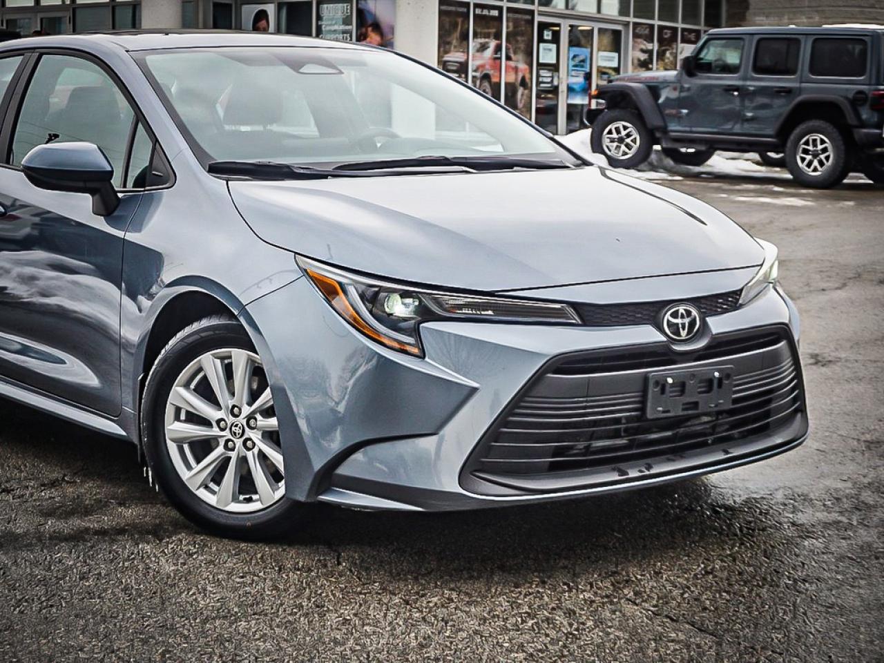 2024 Toyota Corolla  Photo