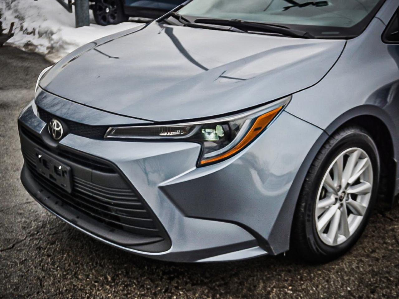 2024 Toyota Corolla  Photo3