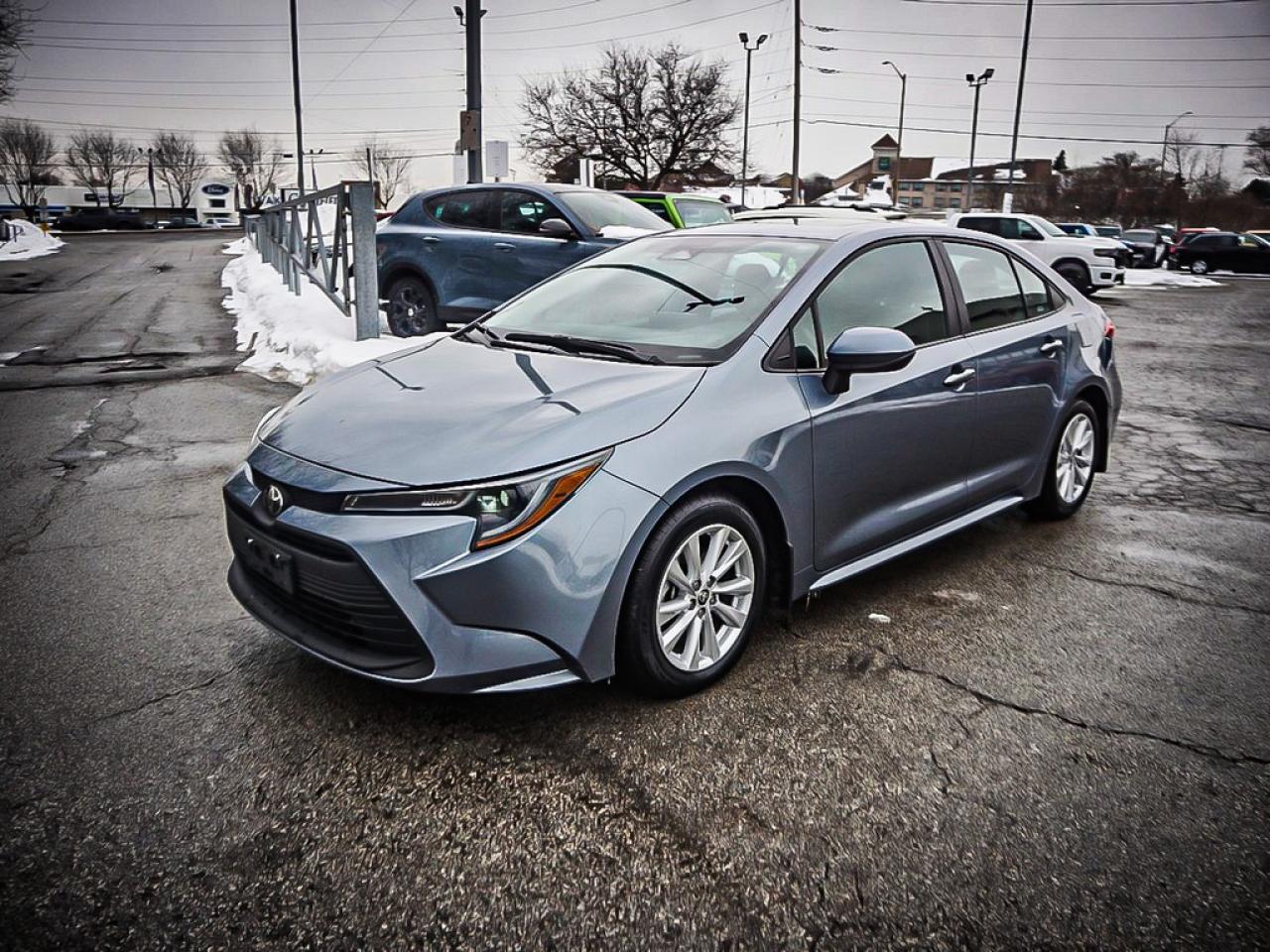 2024 Toyota Corolla  Photo