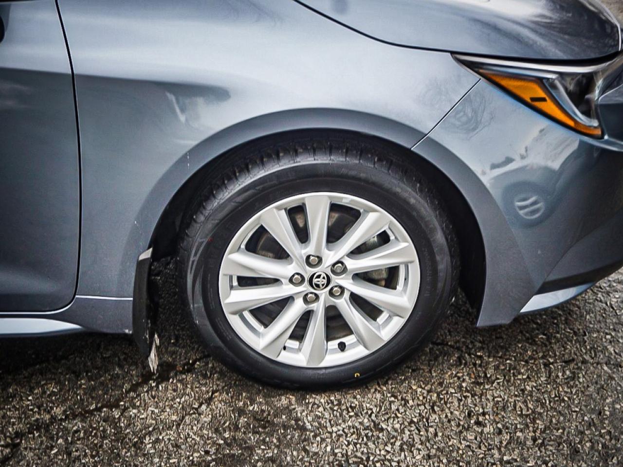 2024 Toyota Corolla  Photo