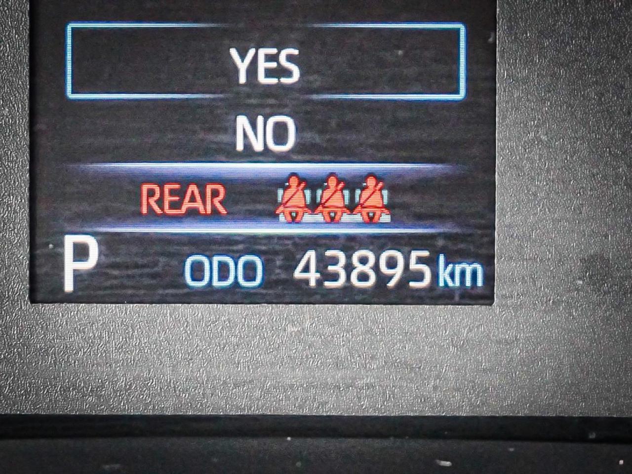 2024 Toyota Corolla  Photo