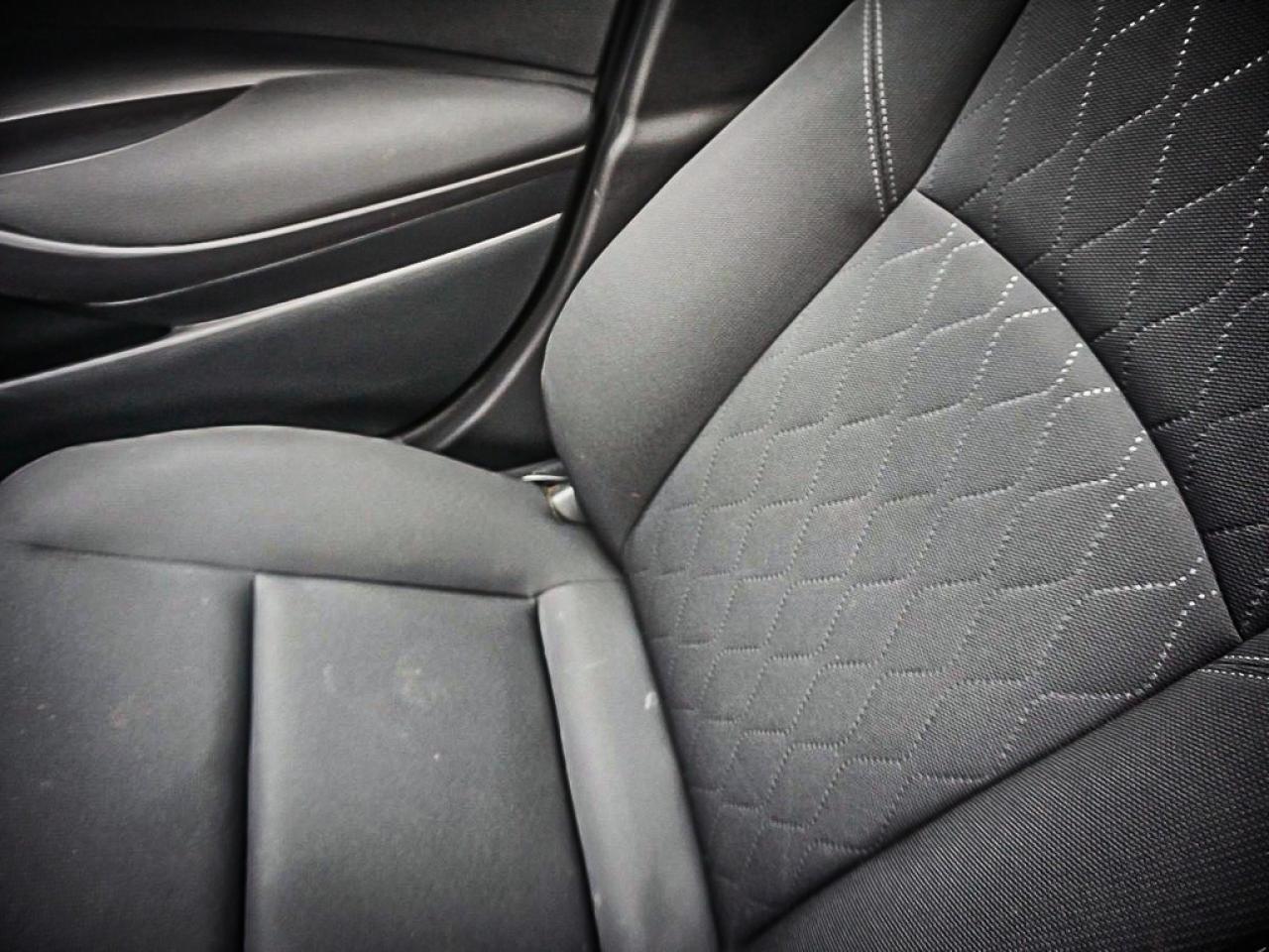 2024 Toyota Corolla  Photo