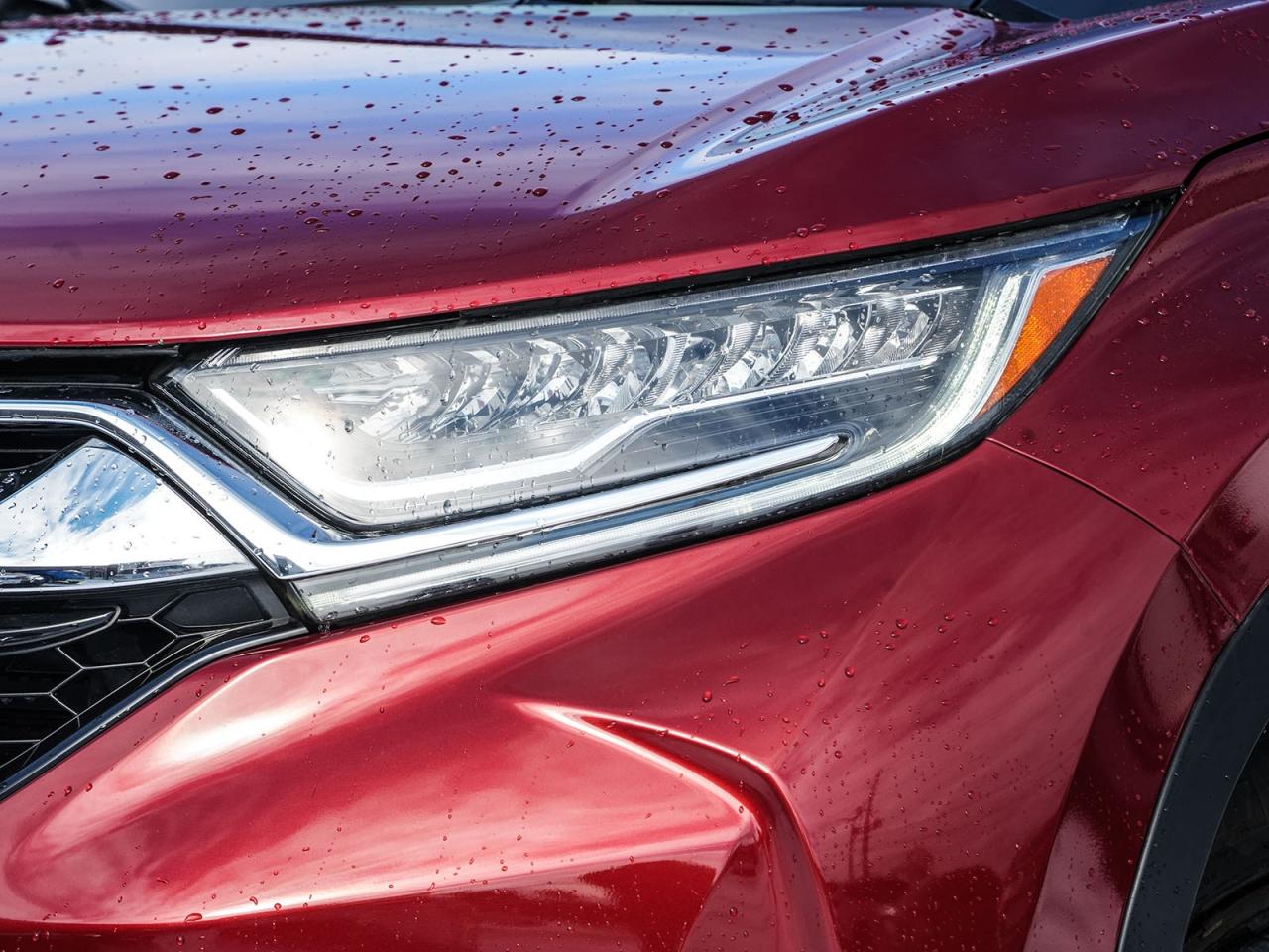 2019 Honda CR-V Touring Photo