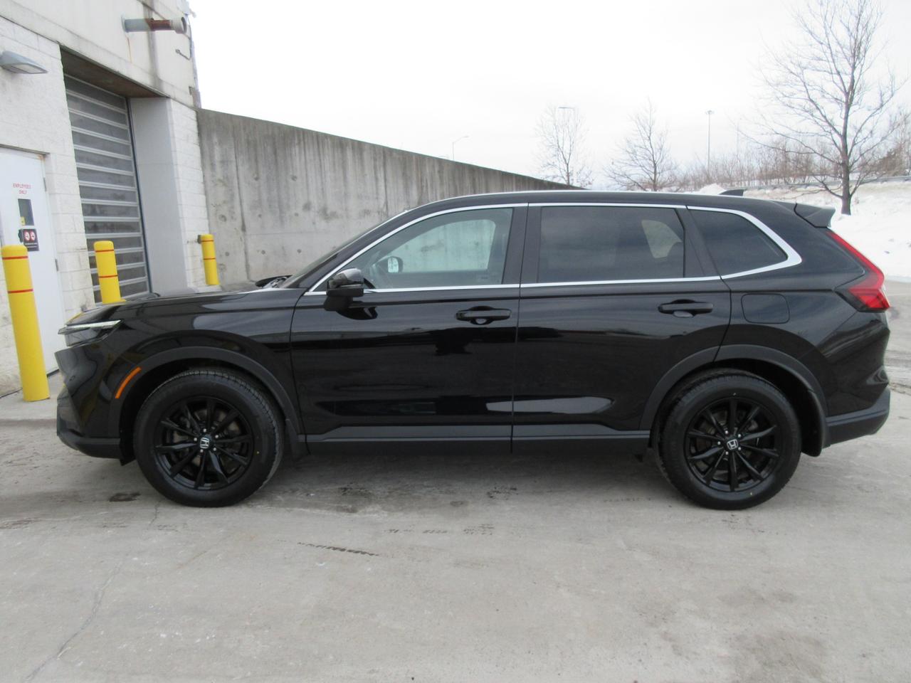 2024 Honda CR-V Hybrid EX-L 4dr All-Wheel Drive Photo