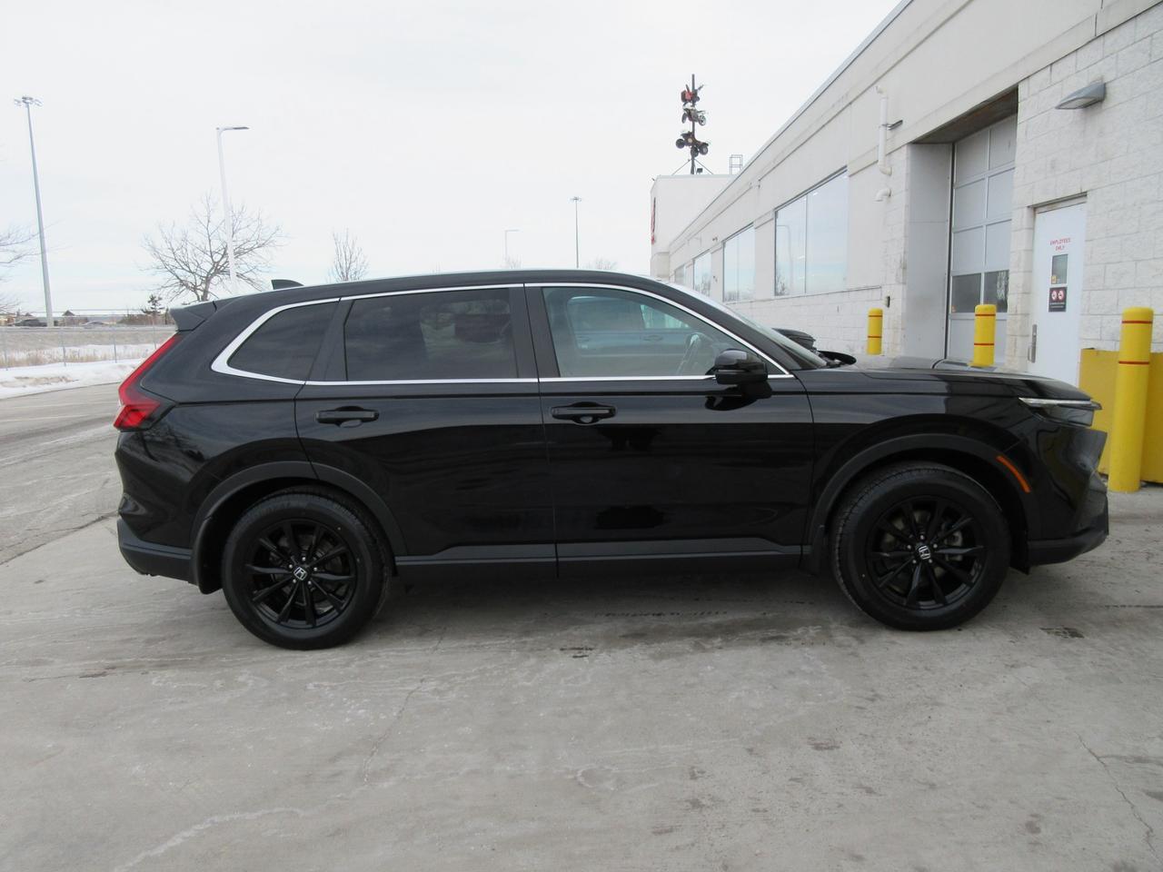 2024 Honda CR-V Hybrid EX-L 4dr All-Wheel Drive Photo