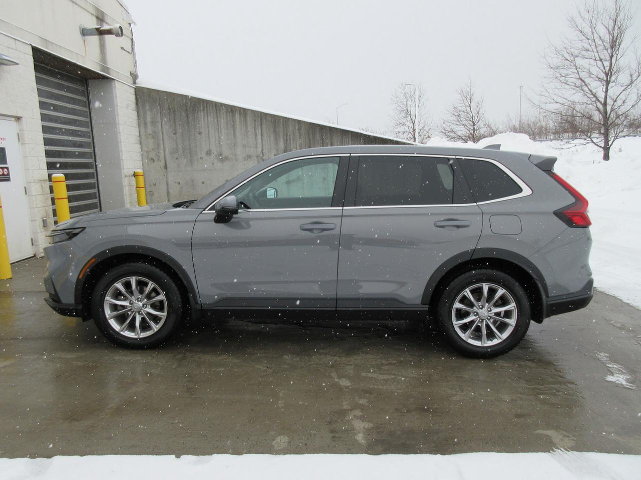 2023 Honda CR-V EX-L 4dr All-wheel Drive Photo