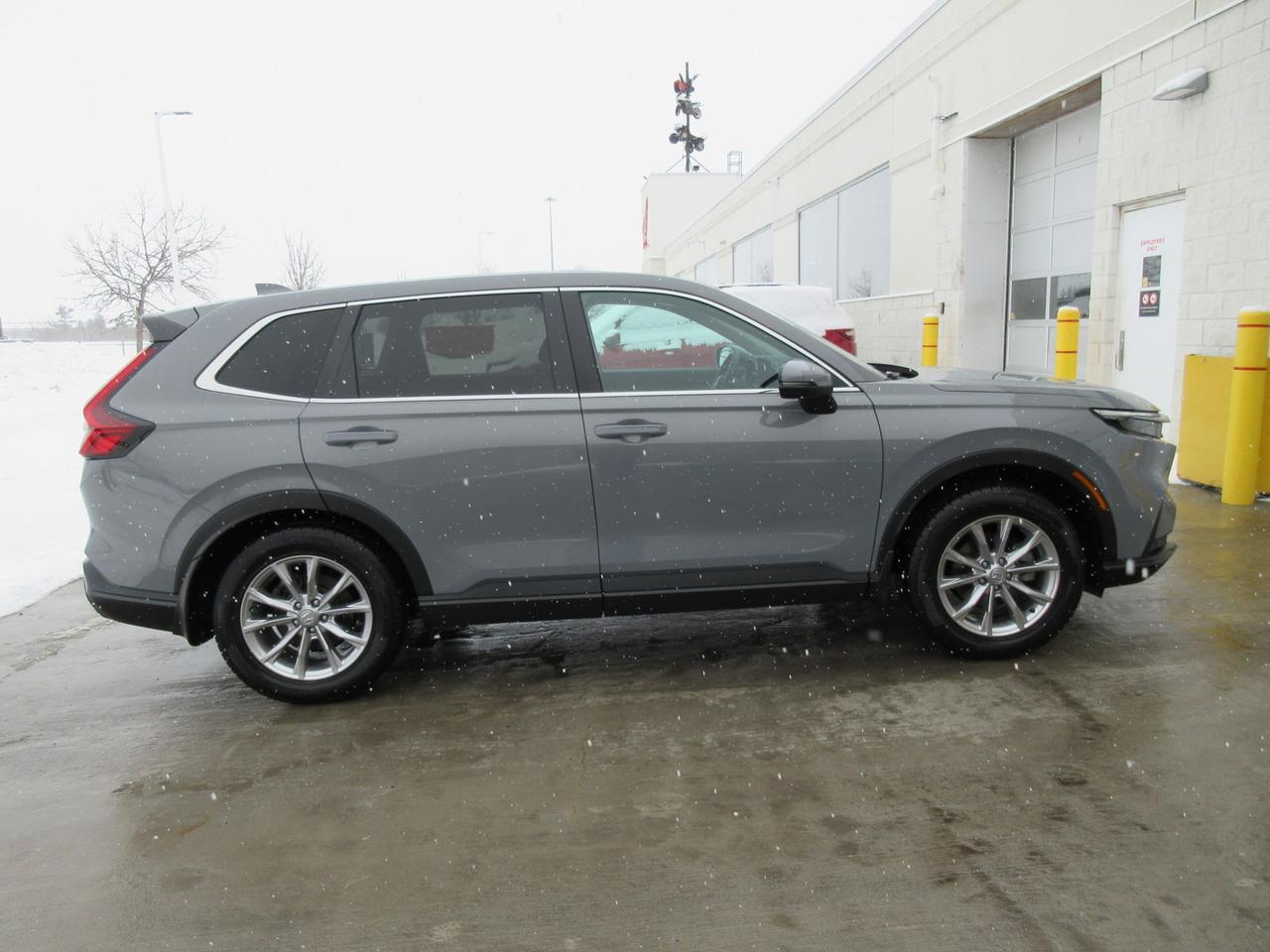 2023 Honda CR-V EX-L 4dr All-wheel Drive Photo